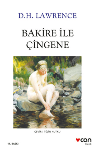 Bakire ile Çingene Bakire ile Çingene