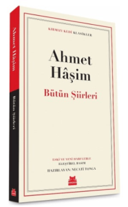 Bize Göre ve Bir Seyahatin Notları