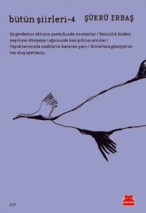 Bütün Şiirleri 4