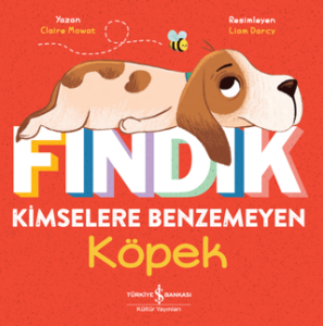 Fındık Kimselere Benzemeyen Köpek Fındık Kimselere Benzemeyen Köpek