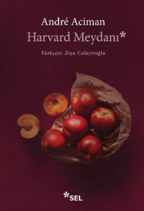Harvard Meydanı Harvard Meydanı