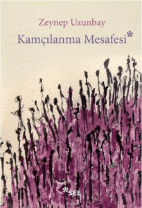 Kamçılanma Mesafesi Kamçılanma Mesafesi