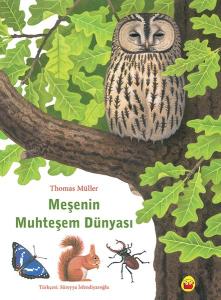 Meşenin Muhteşem Dünyası Meşenin Muhteşem Dünyası