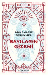 Sayıların Gizemi
