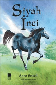 Siyah İnci Siyah İnci