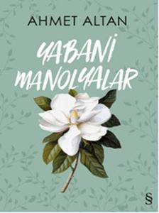 Yabani Manolyalar Yabani Manolyalar