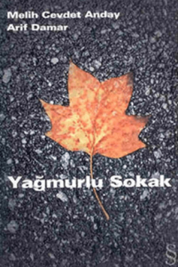 Yağmurlu Sokak Yağmurlu Sokak