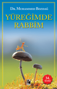 Yüreğimde Rabbim Yüreğimde Rabbim