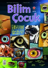Bilim Çocuk Dergisi Ağustos 2023 Kollektif