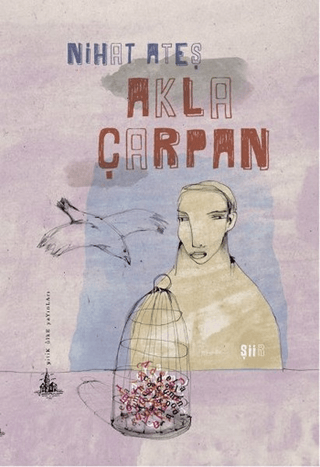 Akla Çarpan Jung-hee Kim