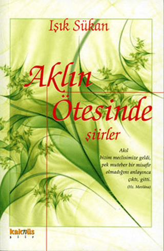 Aklın Ötesinde Şiirler Işık Sükan