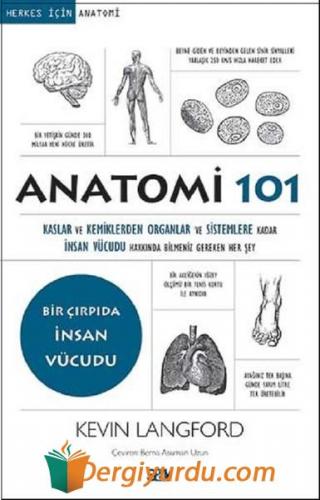 Anatomi 101 Kevin Langford