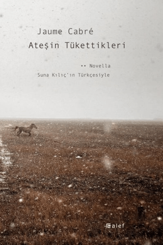 Ateşin Tükettikleri Jaume Cabre