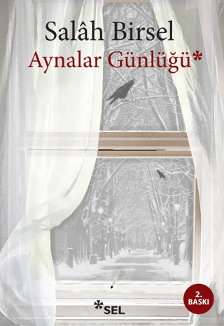 Aynalar Günlüğü
