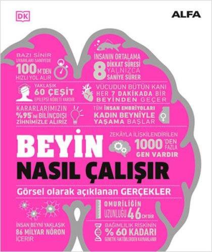 Beyin Nasıl Çalışır - Görsel Olarak Açıklanan Gerçekler (Ciltli)