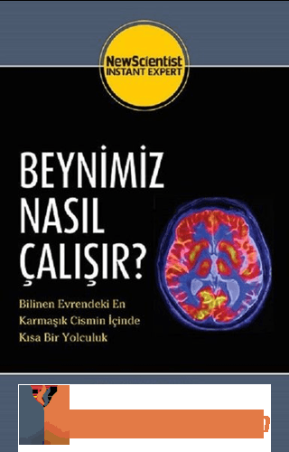 Beynimiz Nasıl Çalışır?