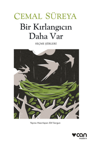 Bir Kırlangıcın Daha Var Doğan Temel