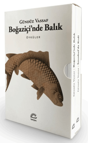 Boğaziçi'nde Balık - İstanbul'da Kedi (2 Kitap Kutulu Set) Davıd Rıcho