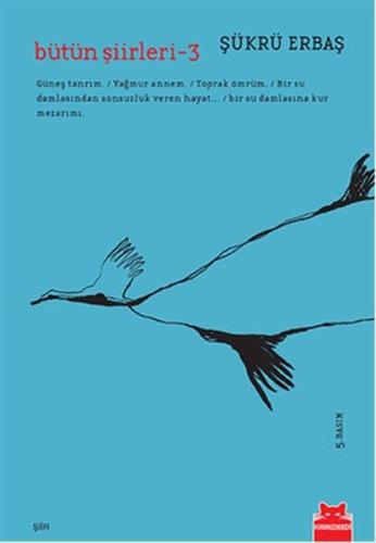 Bütün Şiirleri 3 Abba