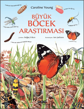 Büyük Böcek Araştırması Yasin Taçar