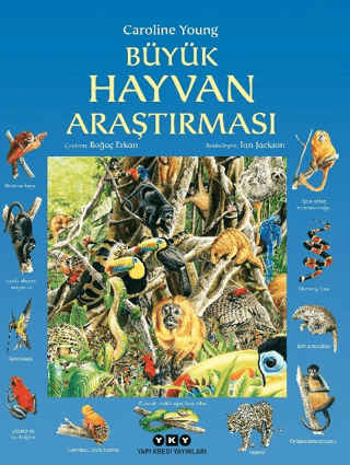 Büyük Hayvan Araştırması Yasin Taçar