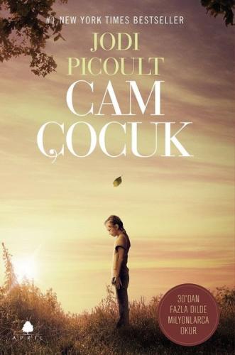 Cam Çocuk Paul Foulquie