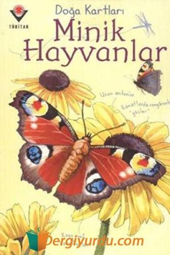 Doğa Kartları - Minik Hayvanlar