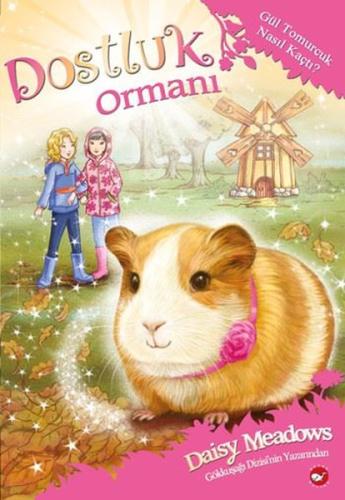 Dostluk Ormanı 8-Gül Tomurcuk Nasıl Kaçtı? Daisy Meadows