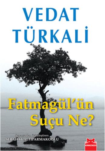 Fatmagül'ün Suçu Ne? 18323