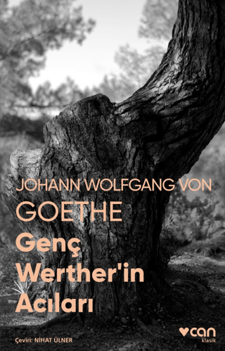 Genç Werther'in Acıları