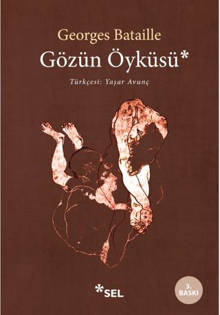 Gözün Öyküsü Amed Gökçen