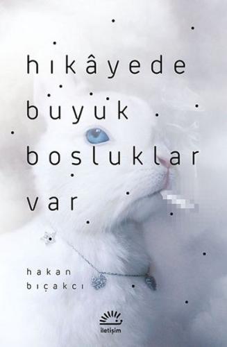 Hikayede Büyük Boşluklar Var Hakan Bıçakcı