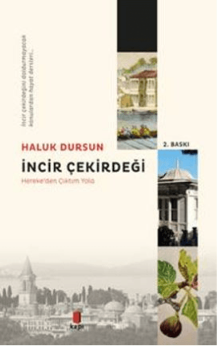 İncir Çekirdeği Lu Yao