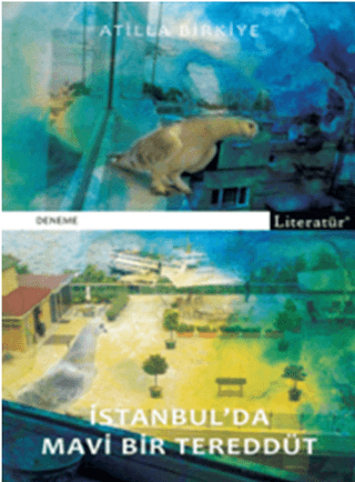 İstanbul'da Mavi Bir Tereddüt