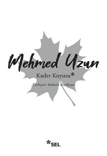 Kader Kuyusu Cenk Durmuşkahya
