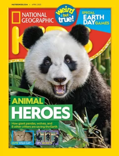 National Geo Kids Dergisi Abonelik 1 Yıllık Kollektif