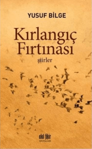 Kırlangıç Fırtınası Habibe Temizsu