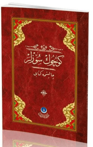 Küçük Sözler Çalışma Kitabı
