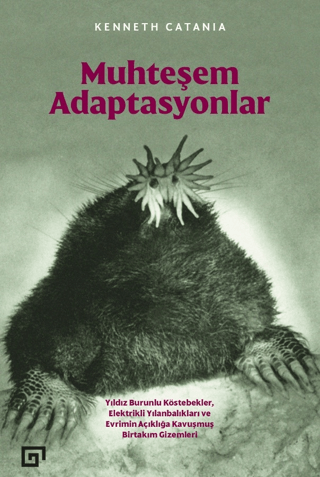 Muhteşem Adaptasyonlar Kenneth Catania