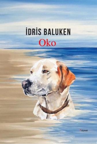 Oko İdris Baluken