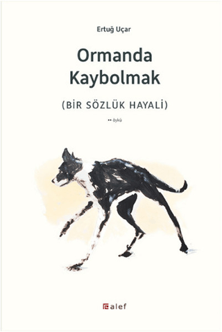 Ormanda Kaybolmak Mehmet Zencirkır