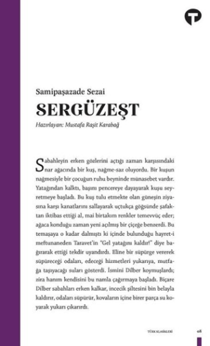 Sergüzeşt David Robinson