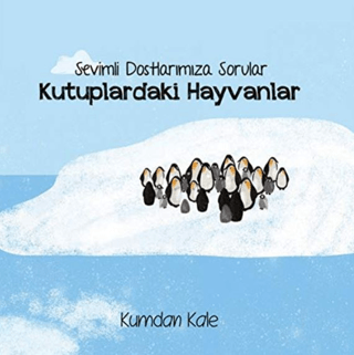 Sevimli Dostlarımıza Sorular Kutuptaki Hayvanlar