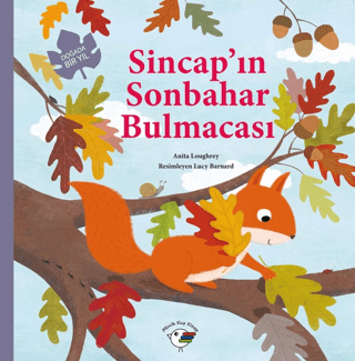 Sincap'ın Sonbahar Bulmacası – Doğada Bir Yıl Anita Loughrey