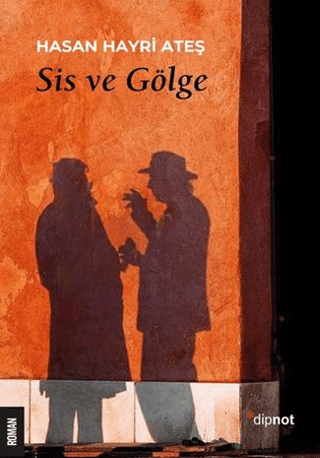 Sis ve Gölge