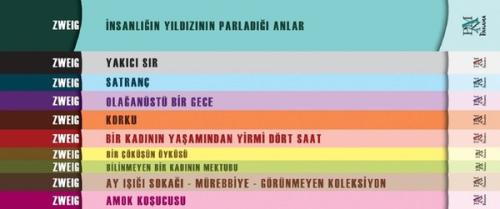 Stefan Zweig Seti-10 Kitap Takım Stefan Zweig