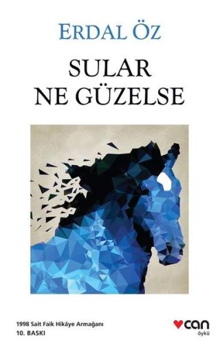 Sular Ne Güzelse Nicolas Barreau