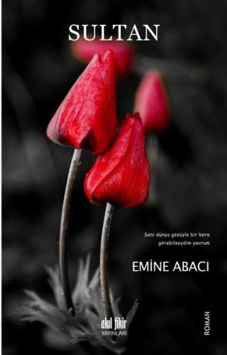Sultan Emine Abacı