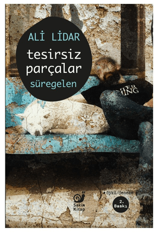 Tesirsiz Parçalar Süregelen Ali Lidar