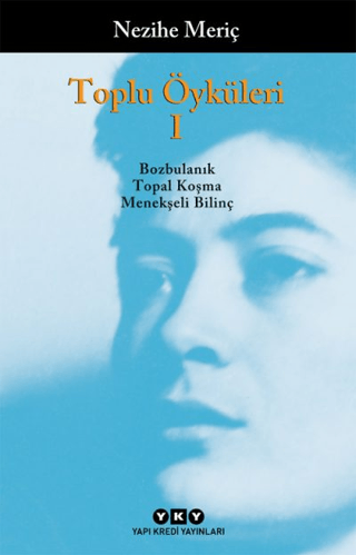 Toplu Öyküleri 1 Cansu Sabetrasekh